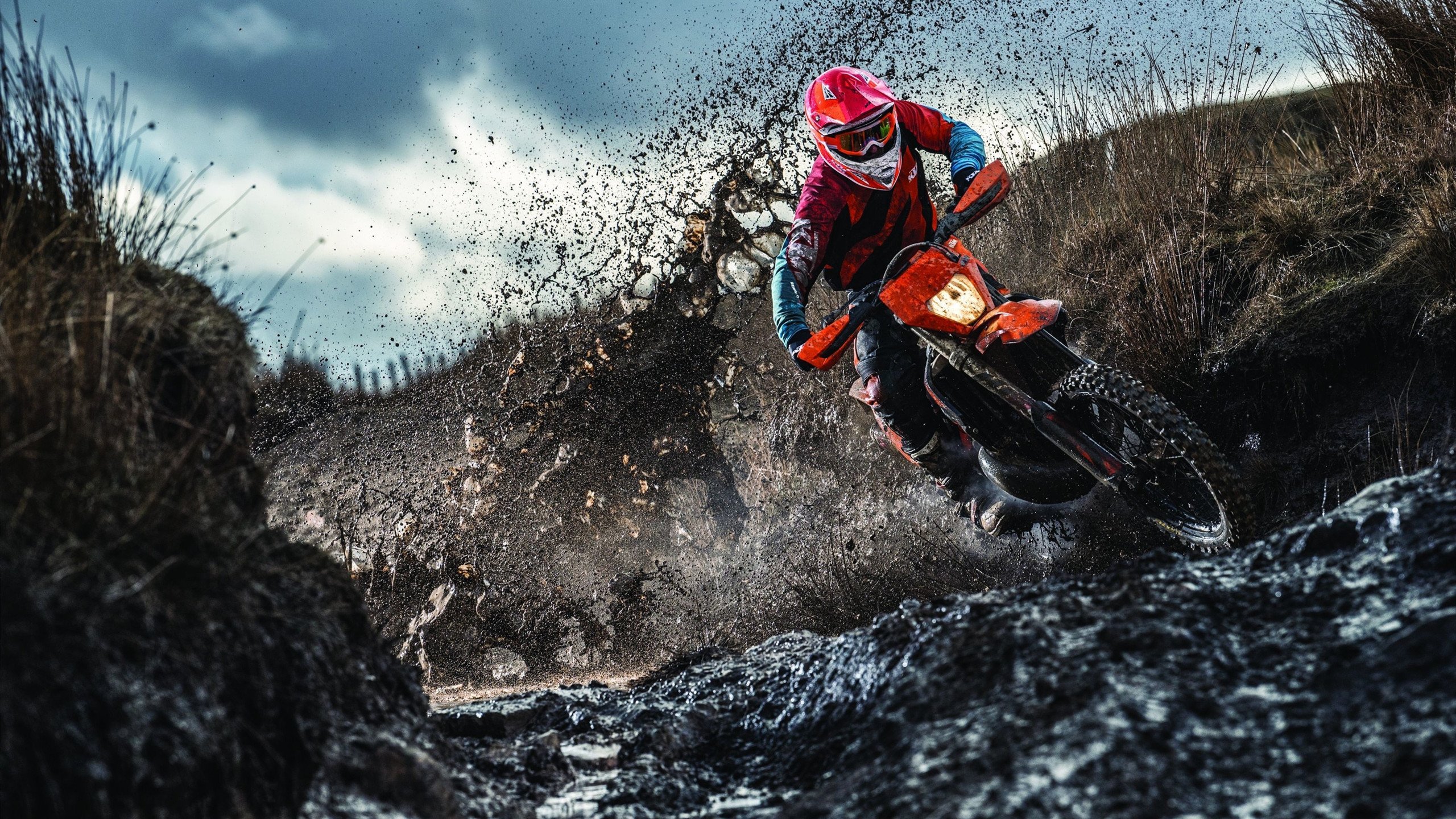 里奇·麦考:一位球员如何改变一支球队的命运,里奇·麦克唐纳