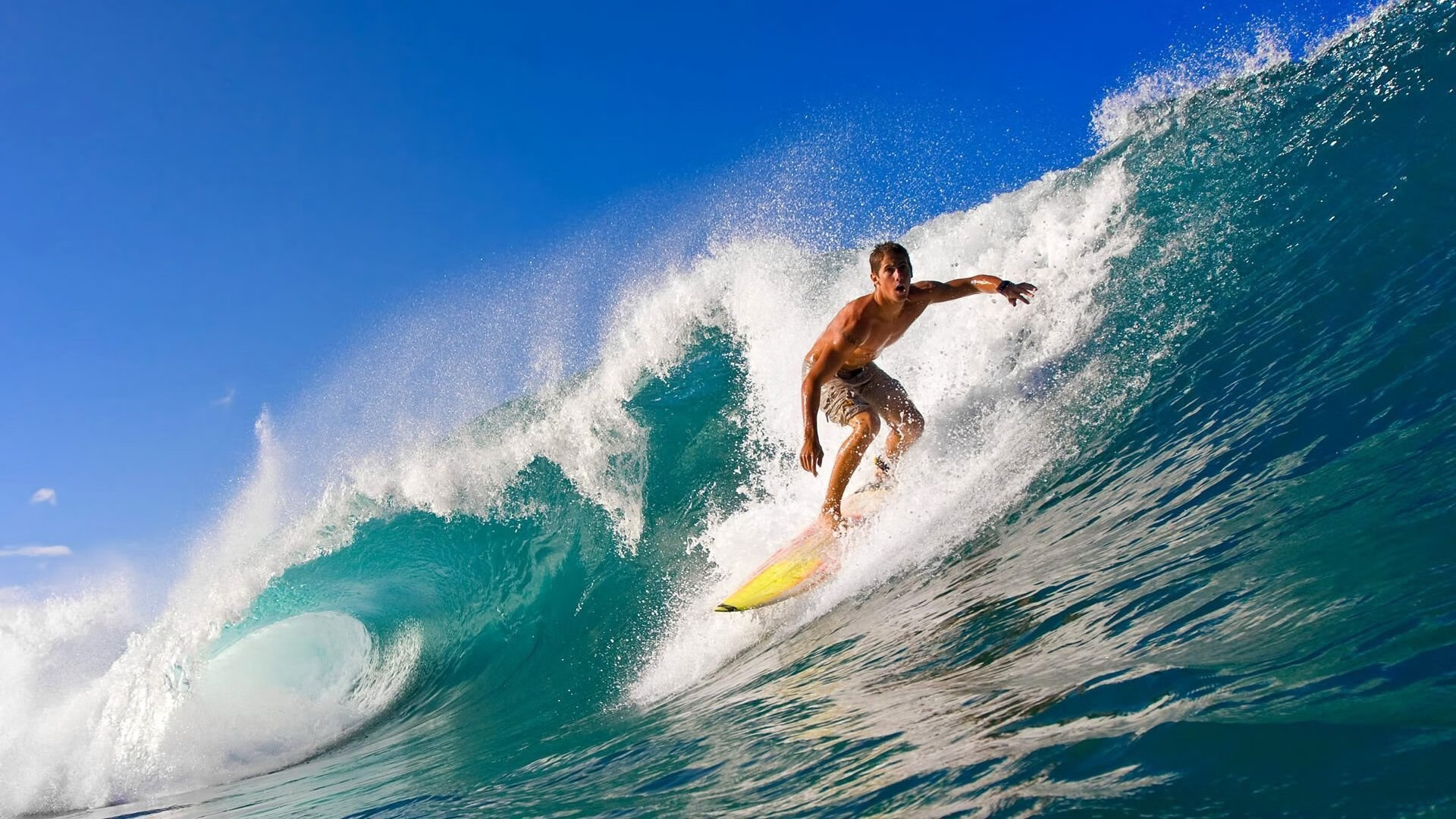 “诺克·达维德·彼得森的爆发力助南非羚羊队夺回世界之巅”